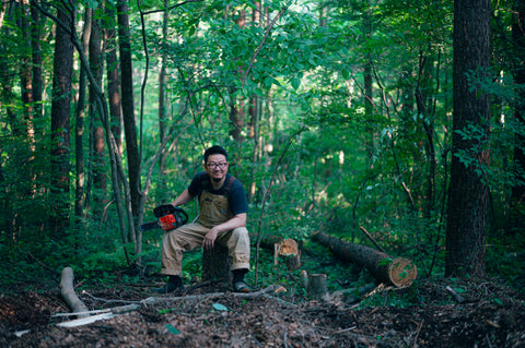 Shuji Yamamoto "A natural history around trees" 作品追加しました!