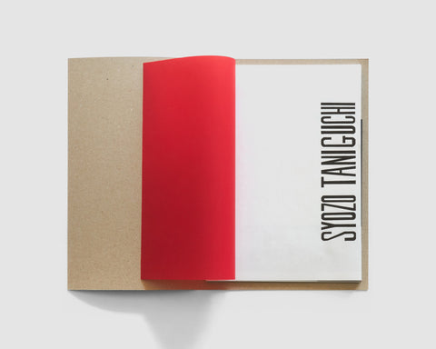 Syozo Taniguchi zine“Light raging in COCOON”
